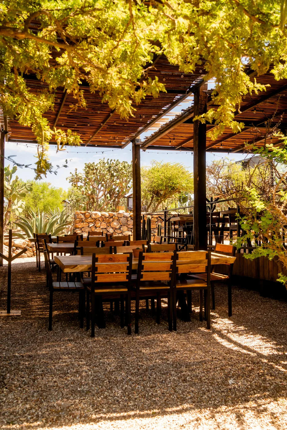 Terraza del restaurante bajo la pérgola con follaje dorado